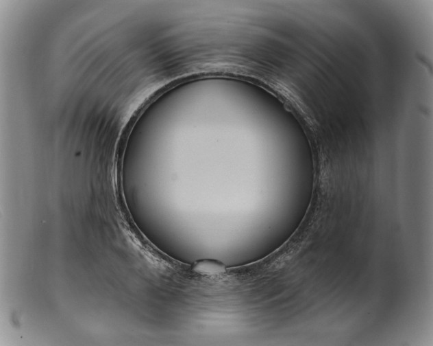X0000099440888200805231715
