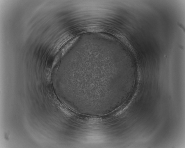 X0000099440889200805231715