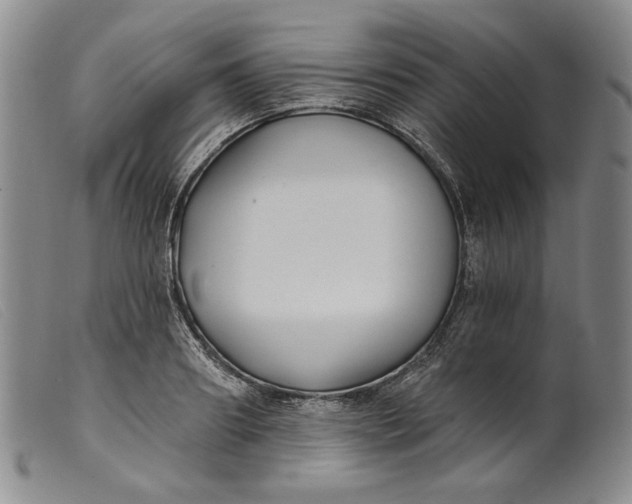 X0000099440890200805231715