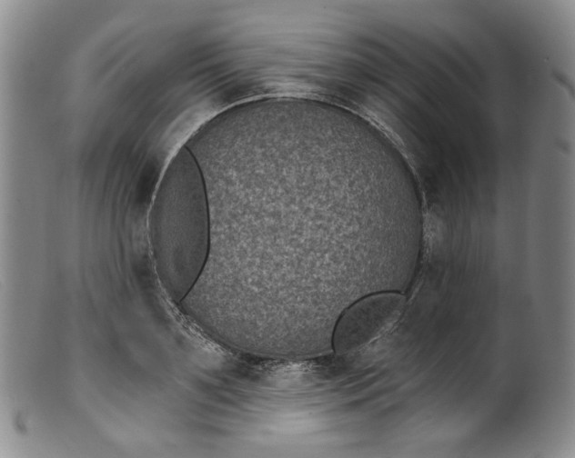 X0000099440891200805231715