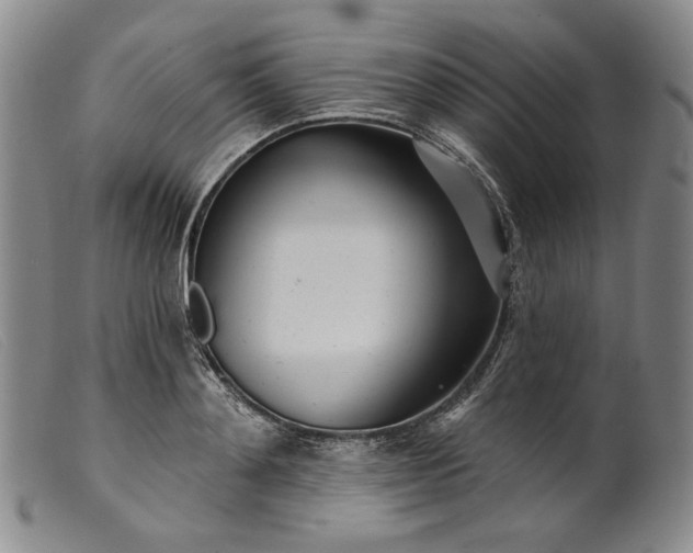 X0000099440892200805231715