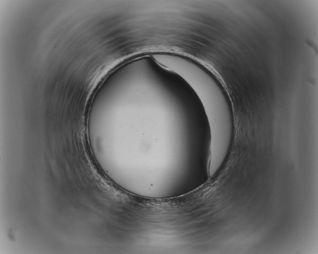 X0000099440895200805231715