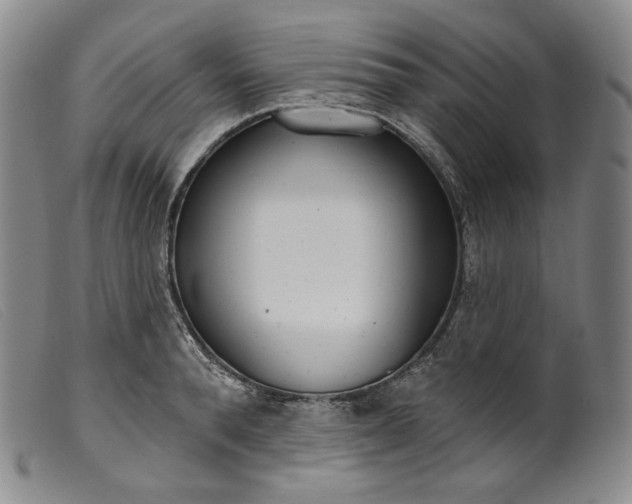 X0000099440896200805231715