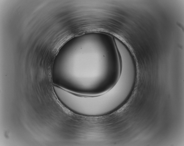 X0000099440897200805231715