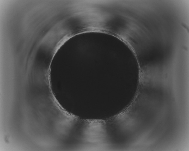 X0000099440899200805231714