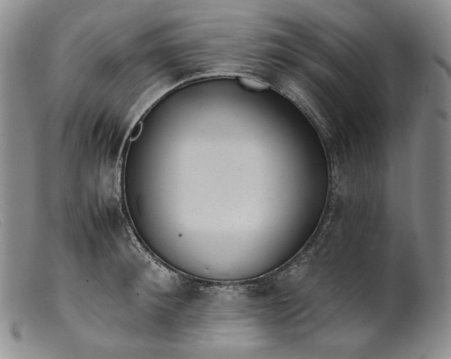 X0000099440900200805231714