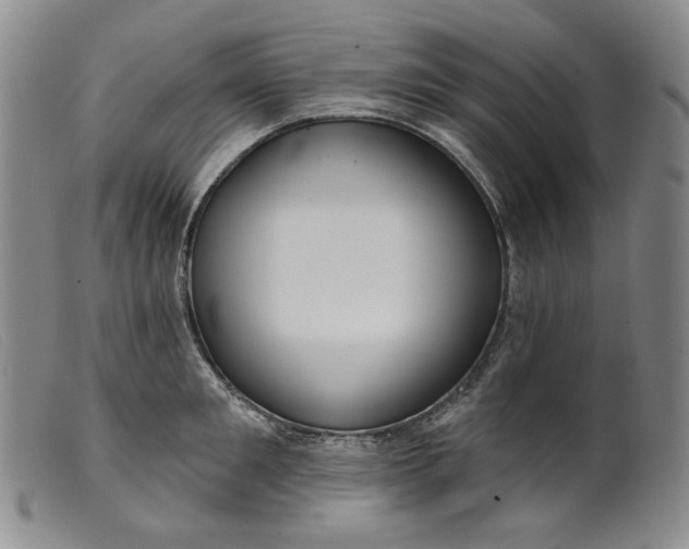 X0000099440901200805231714