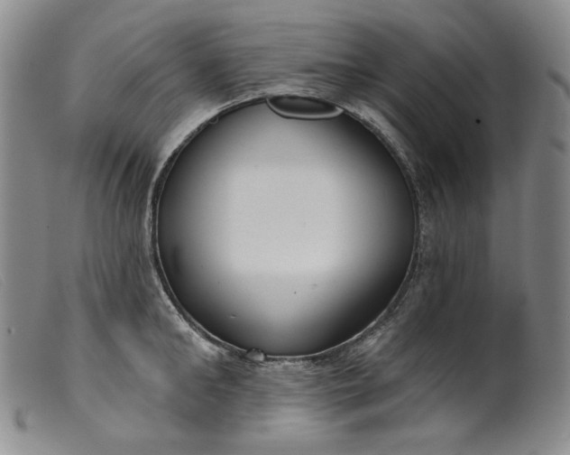 X0000099440902200805231714