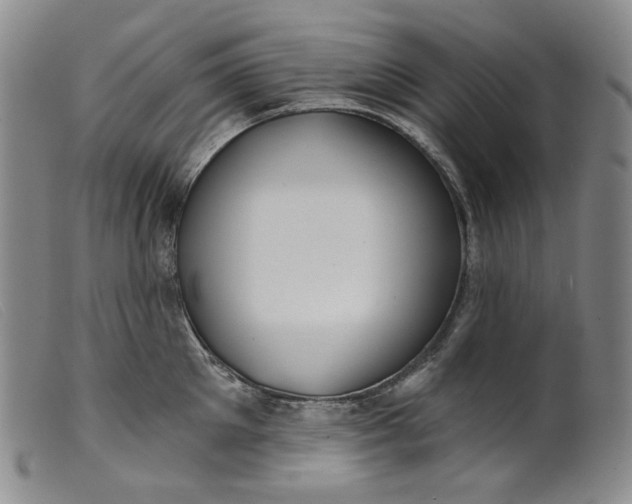 X0000099440905200805231714