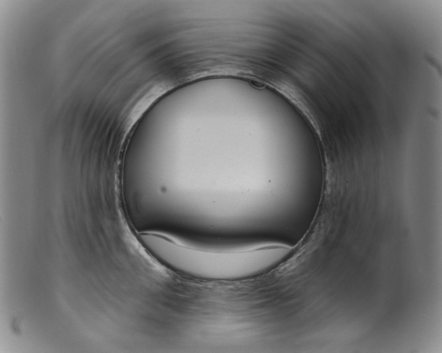 X0000099440906200805231714