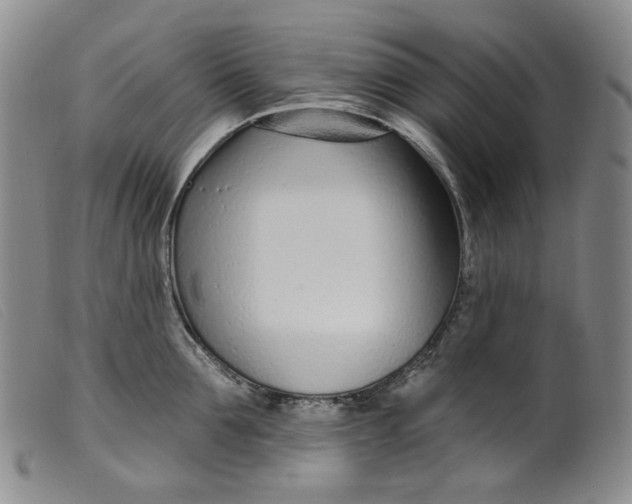 X0000099440907200805231714