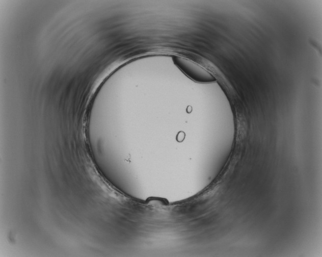 X0000099440908200805231714