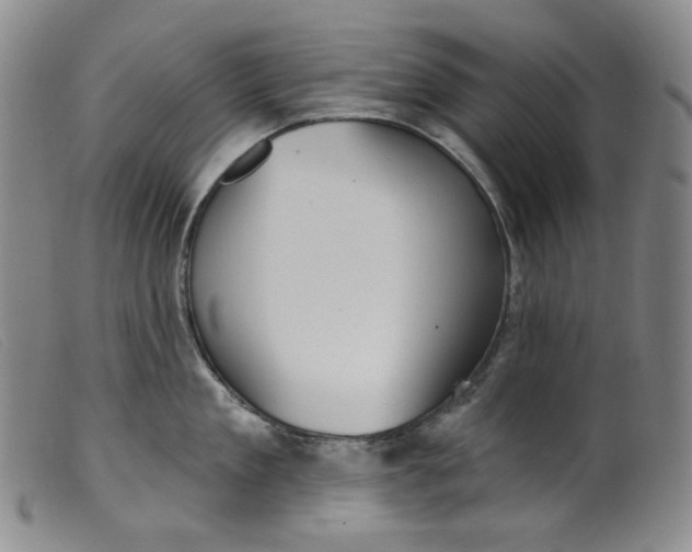 X0000099440909200805231714