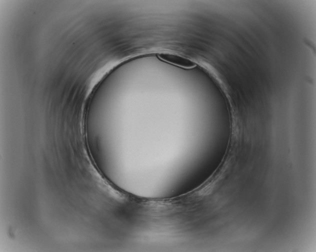 X0000099440910200805231714