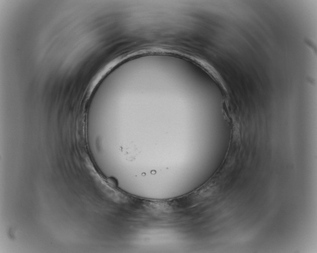 X0000099440911200805231714