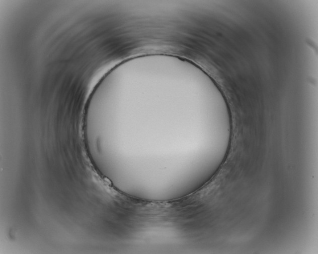 X0000099440912200805231714