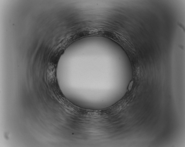 X0000099440914200805231713