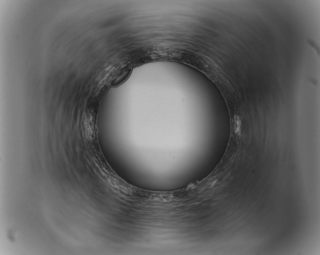 X0000099440915200805231713