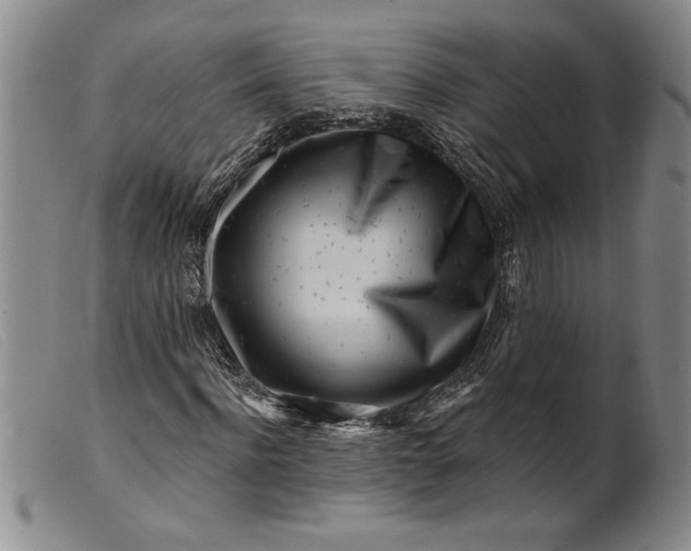 X0000099440916200805231713