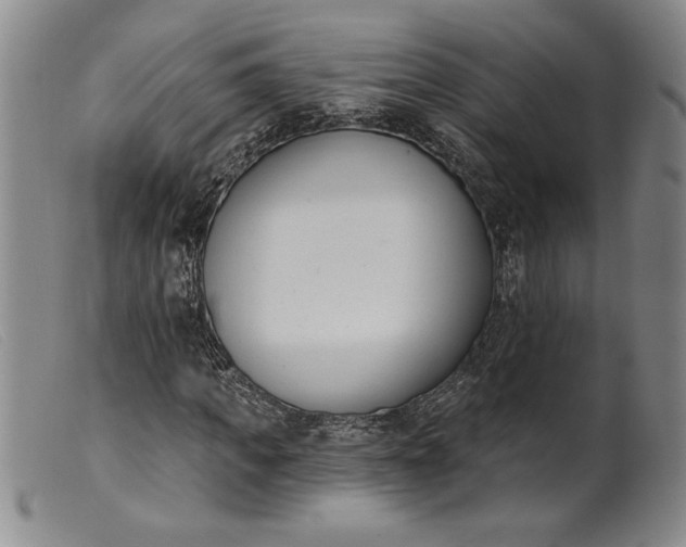 X0000099440917200805231713