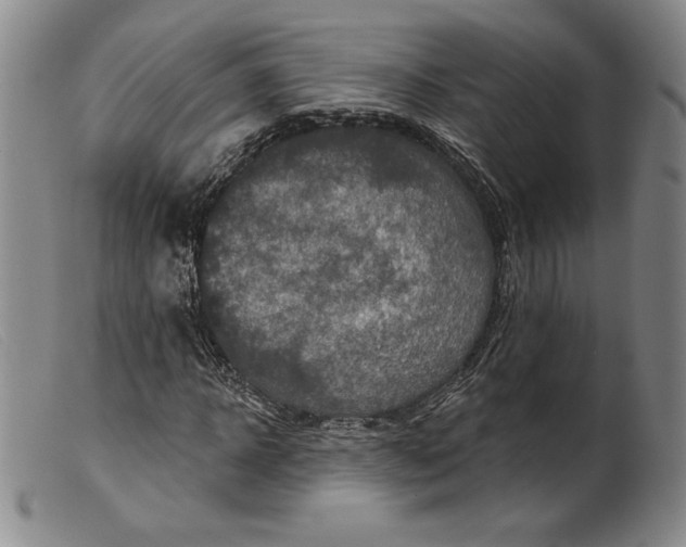 X0000099440918200805231713
