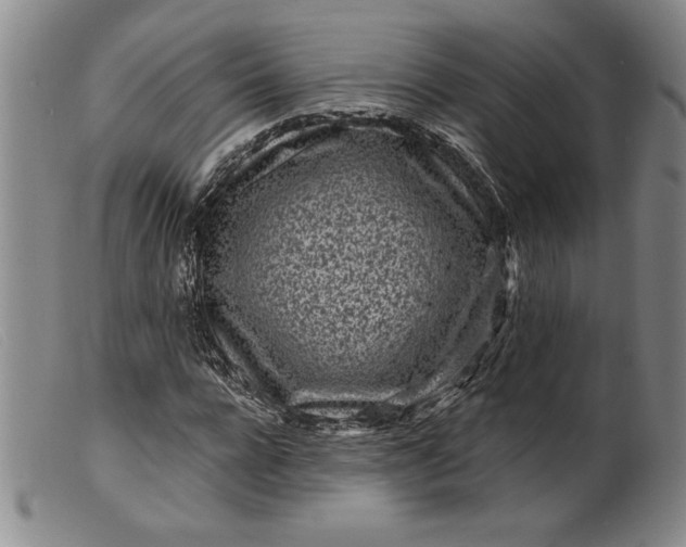X0000099440920200805231713