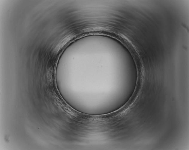 X0000099440921200805231713