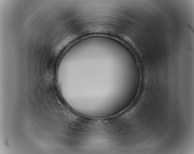X0000099440922200805231713