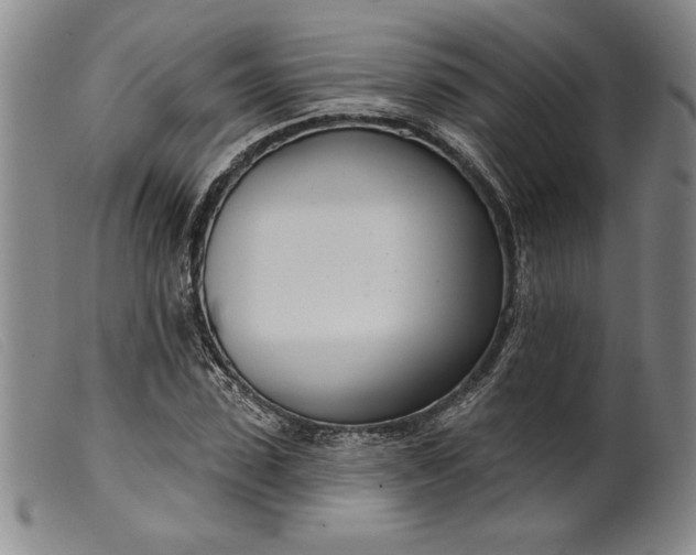 X0000099440923200805231714