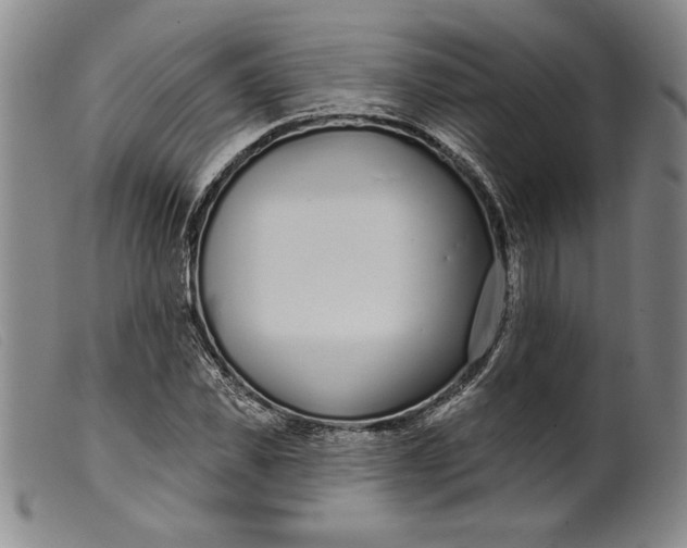 X0000099440925200805231714
