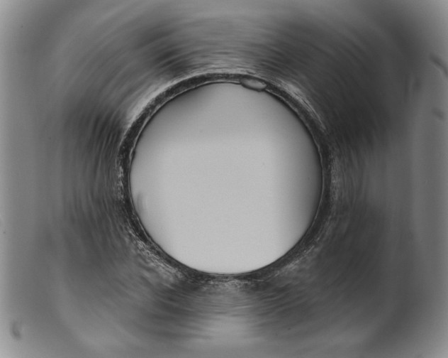 X0000099440926200805231714