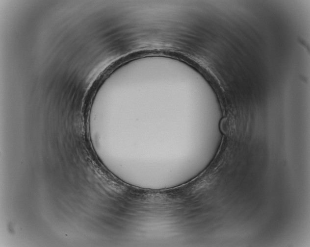 X0000099440927200805231714