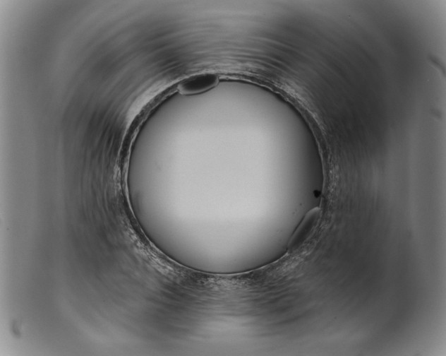 X0000099440928200805231714