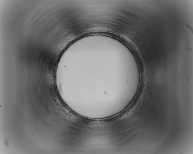 X0000099440929200805231714