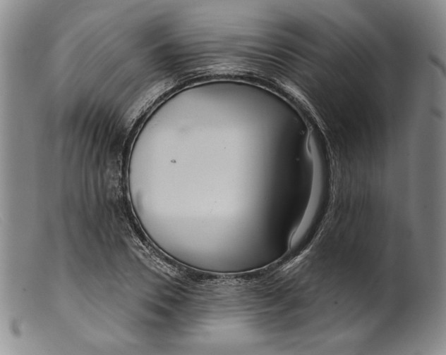 X0000099440930200805231714
