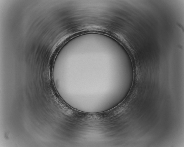 X0000099440931200805231714
