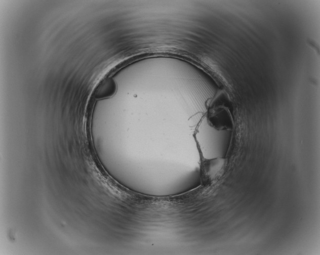X0000099440932200805231714