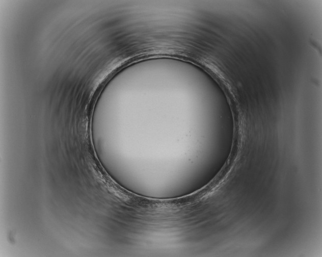 X0000099440933200805231714