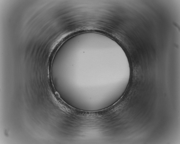 X0000099440934200805231714