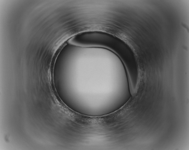 X0000099440936200805231714