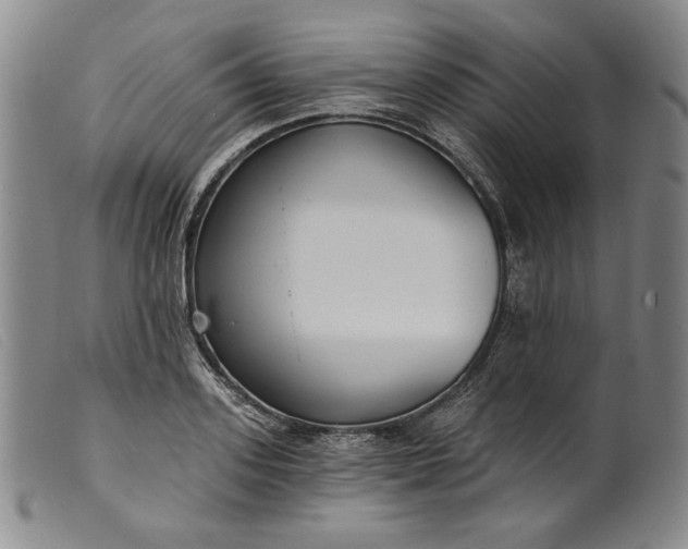 X0000099440939200805231714
