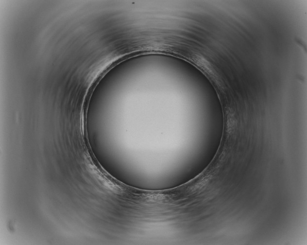 X0000099440940200805231714