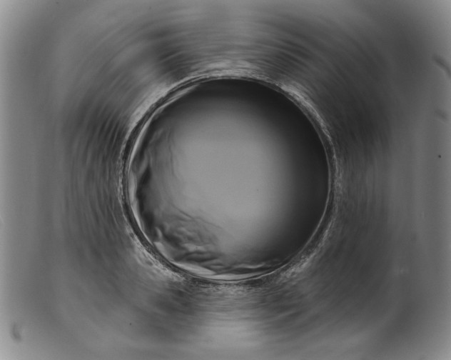 X0000099440941200805231714