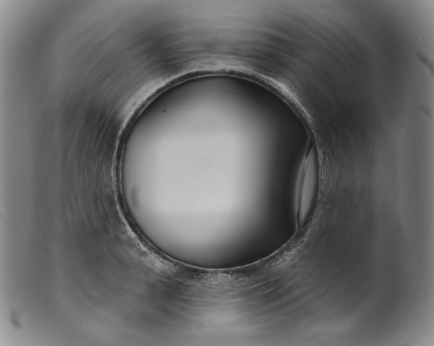 X0000099440943200805231714