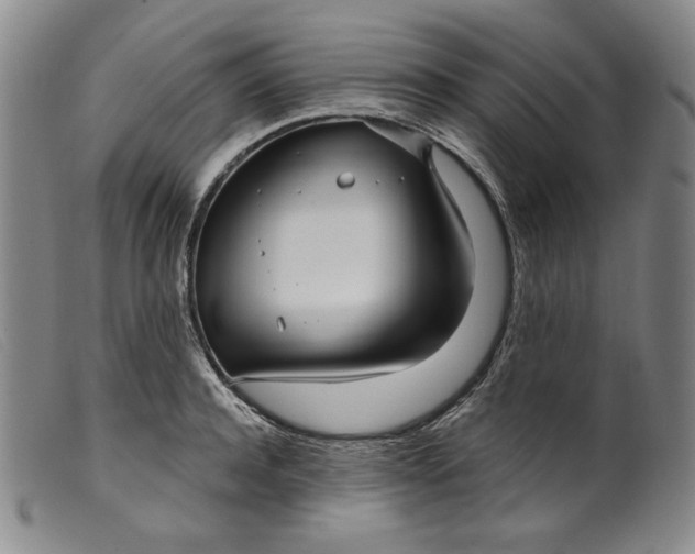 X0000099440944200805231714