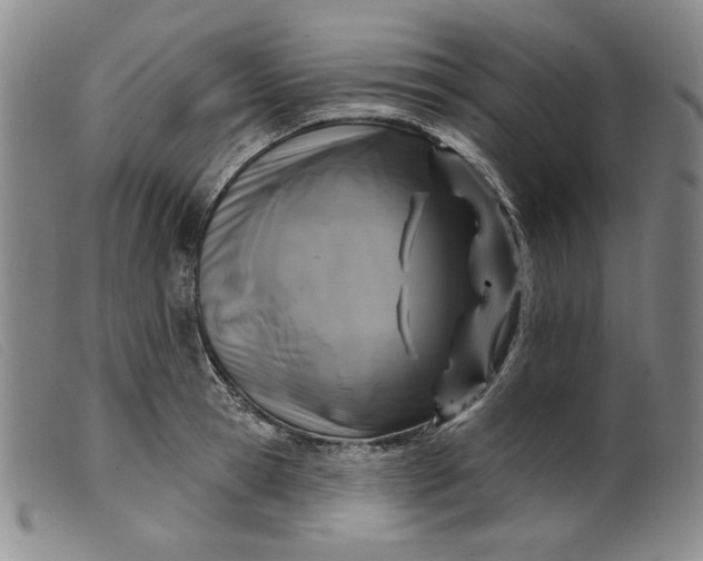 X0000099440945200805231714