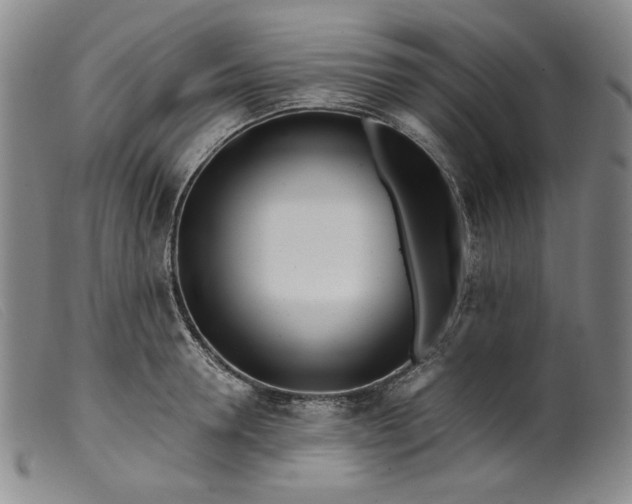 X0000099440946200805231714