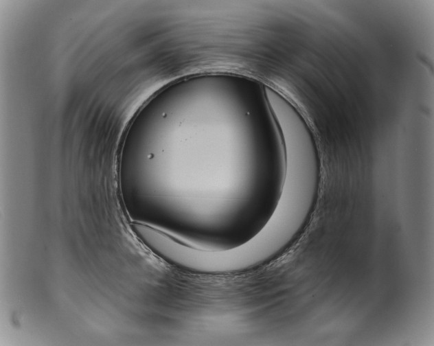 X0000099440948200805231714