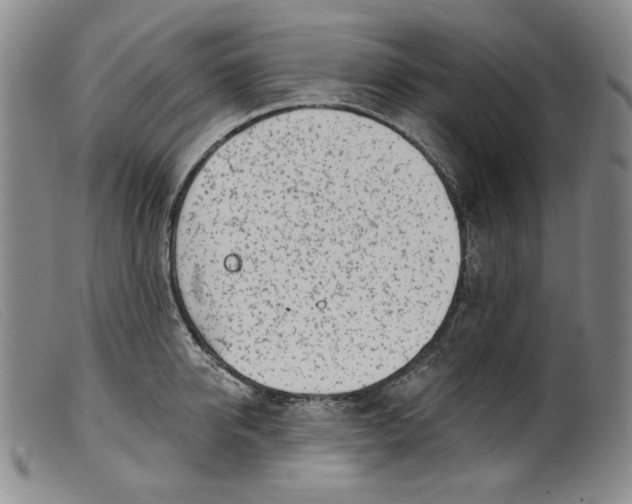 X0000099440950200805231714