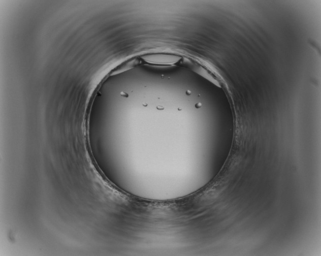X0000099440951200805231714